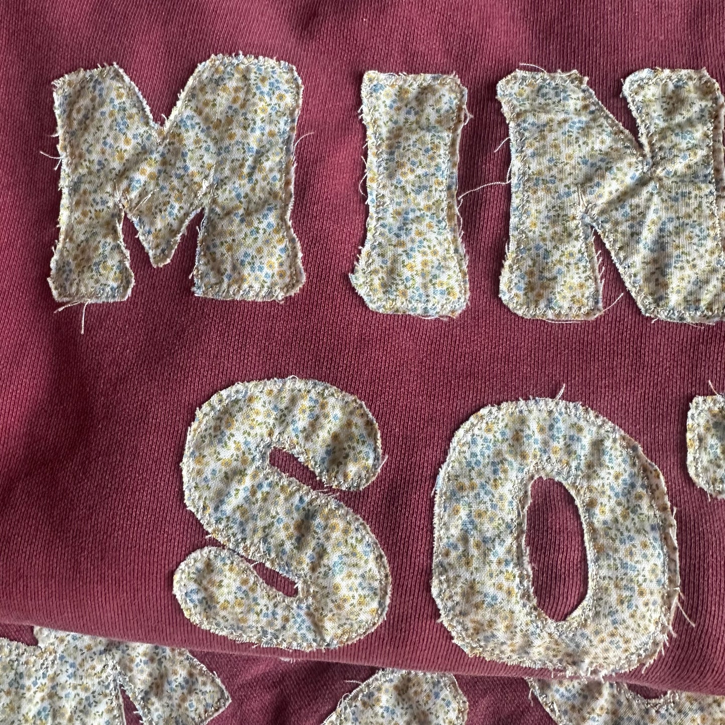 MN sweatshirt